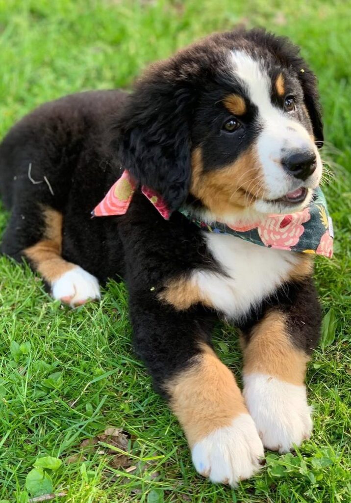 Lucy